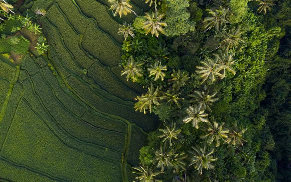 Willkommen in Indonesien