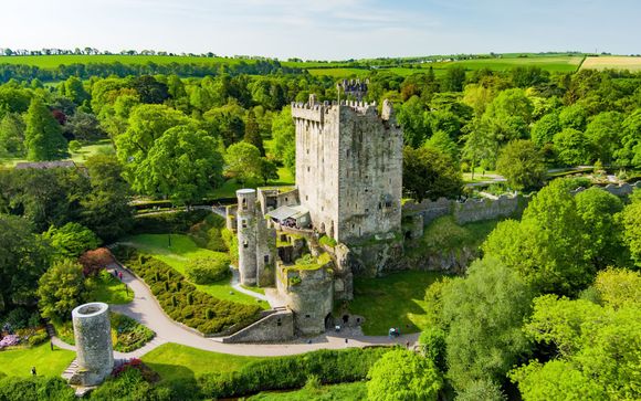 Im Angebot enthalten