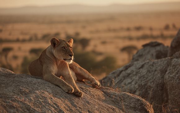 Ihre Safari im Überblick 