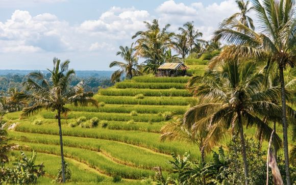 Willkommen in Indonesien!