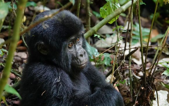 Ihr Reiseverlauf im Detail