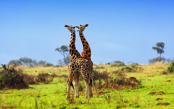 Ihre Rundreise im Detail