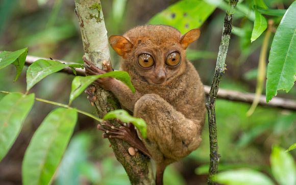 Ihre Rundreise im Überblick