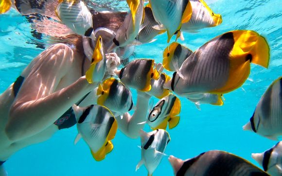 Ihre  Ausflugsoptionen