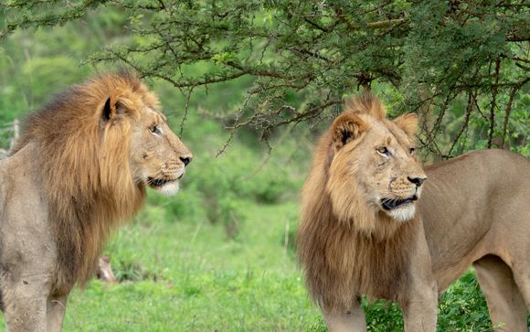 Ihre Reise im Detail