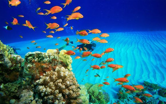 Ihre Ausflugsoptionen