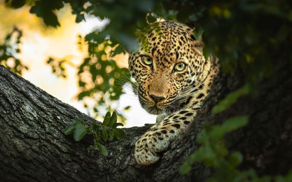 Ihre Ausflugsoptionen