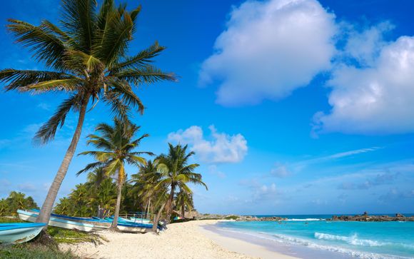Willkommen in Florida und der Westkaribik!