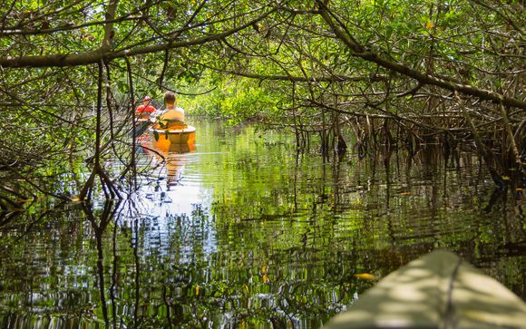 Entdeckung des Nationalparks Everglades (Tag 3, halber Tag)