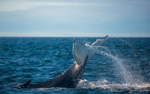 Ihre Rundreise im Detail