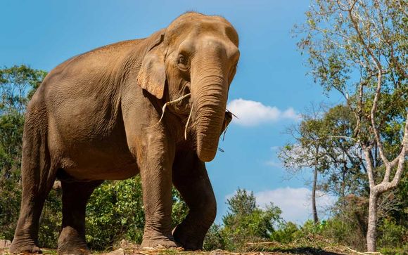 Ihre Ausflugsoptionen