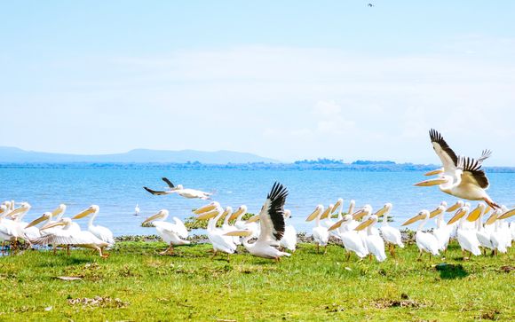 Ihre Safari im Detail