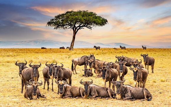 Ihre Safari im Detail