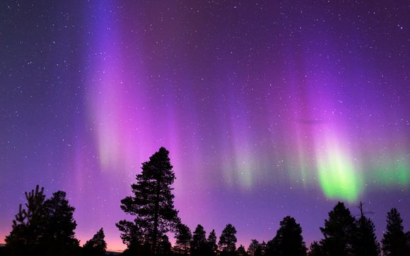 Ihre Ausflugsoptionen