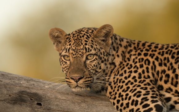 Ihre Reise im Überblick