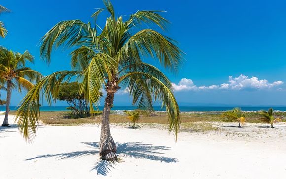 Im Angebot enthalten