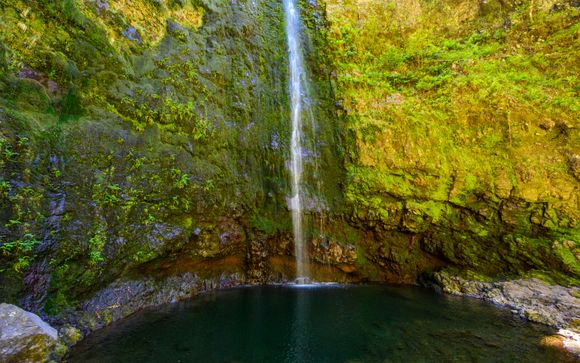 Ihre Ausflugsoptionen