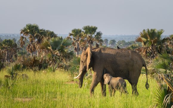 Ihre Rundreise im Detail