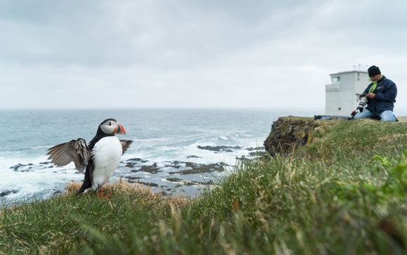 Ihre Rundreise im Detail