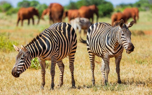 Ihre Safari im Überblick 