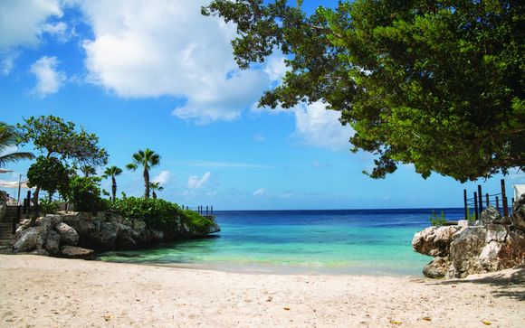 Ihre Ausflugsoptionen