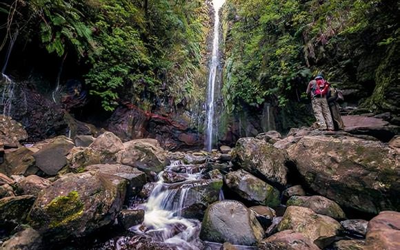 Ihre Ausflugsoptionen