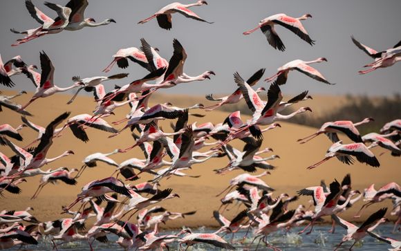 Ihre Ausflugsoptionen