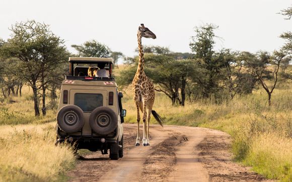 Ihre Safari im Überblick