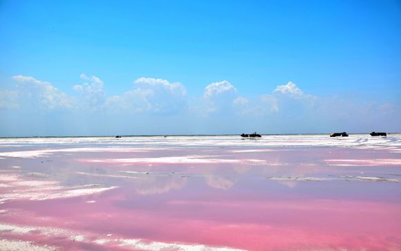 Ihre Ausflugsoptionen