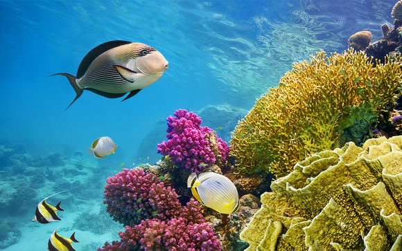 Im Angebot enthalten