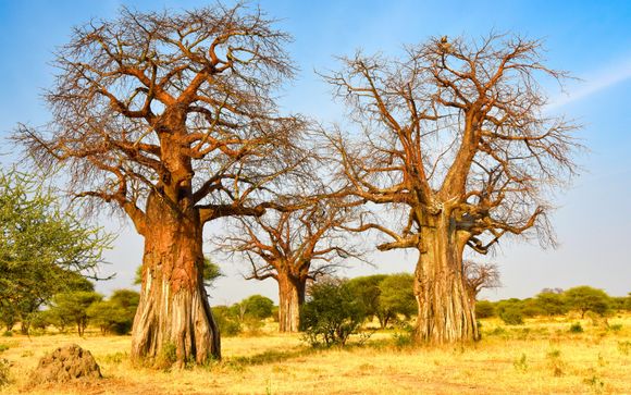 Willkommen in Tansania!