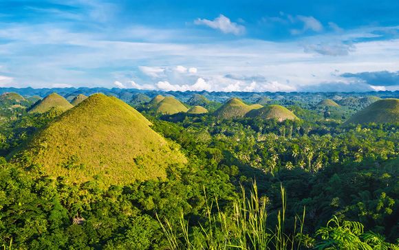 Ihre Ausflugsoptionen