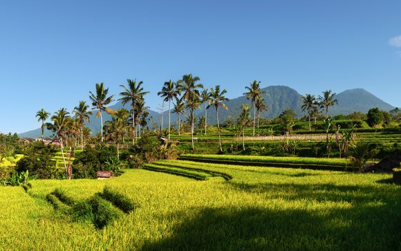 Willkommen in Indonesien!