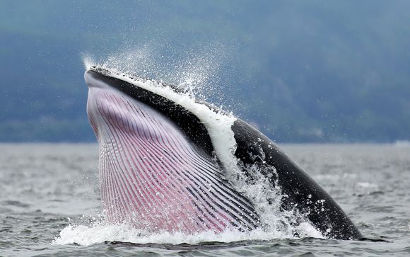 Ihre Autotour im Detail