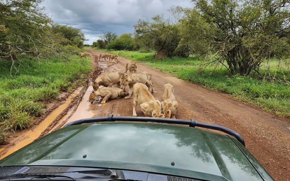 Safari in 7 Nächten