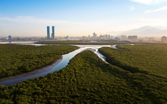 Willkommen in den Vereinigten Arabischen Emiraten!