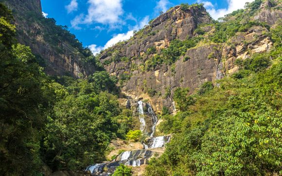 Ihr Programm im Detail