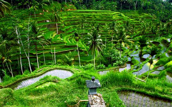 Ihre Rundreise im Überblick