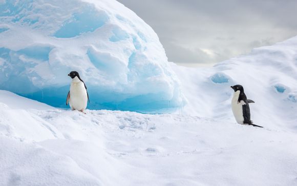 Ihre Kreuzfahrt im Überblick