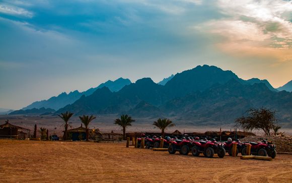 Quad Safari