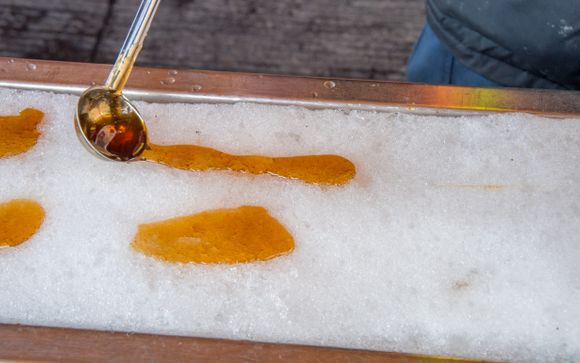 Ihre Ausflugsoptionen