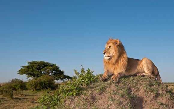 Ihre Safari im Detail