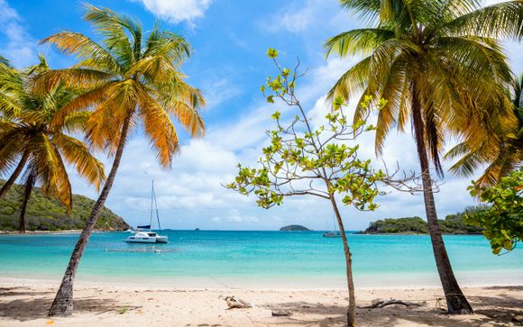 Ihre Kreuzfahrt im Detail