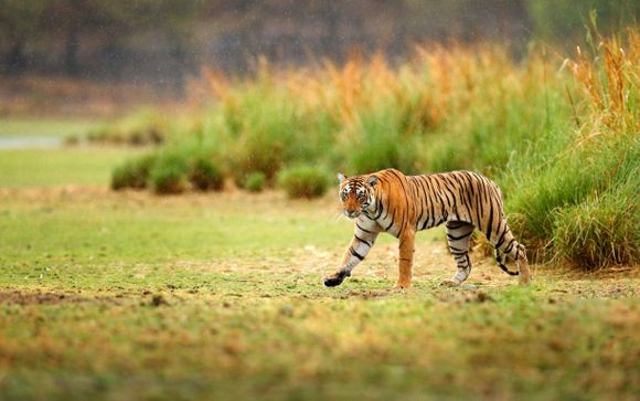 Ihre Rundreise im Detail