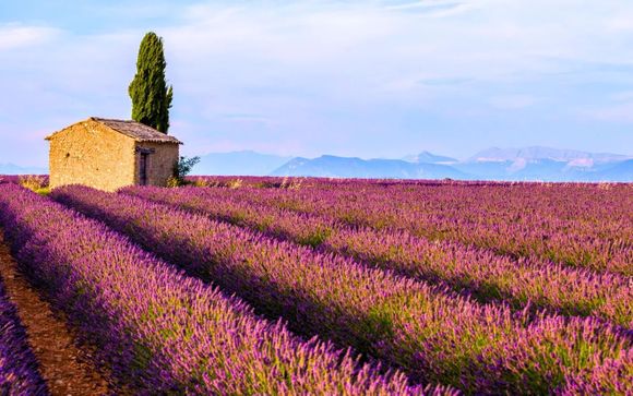 Willkommen in der Provence
