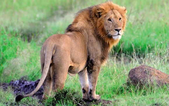 Willkommen in... Kenia!