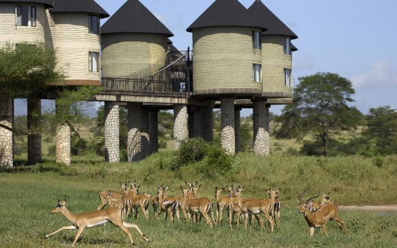 Ngutuni Safari Lodge
