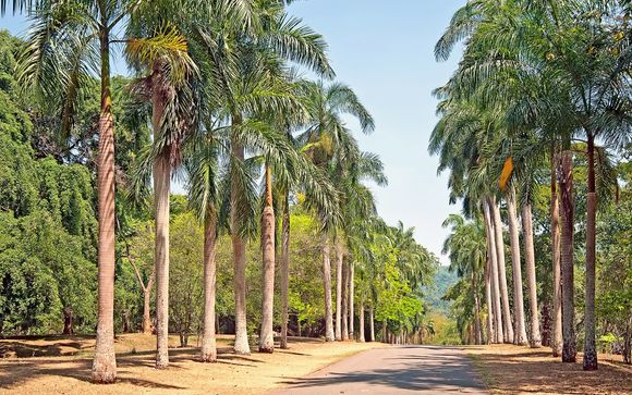 Ihre Rundreise im Detail