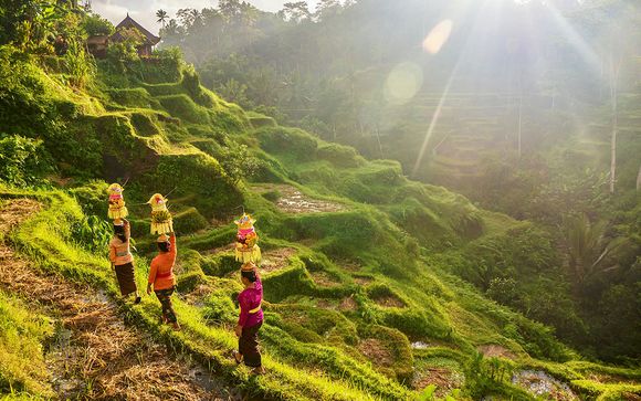 Willkommen auf... Bali!