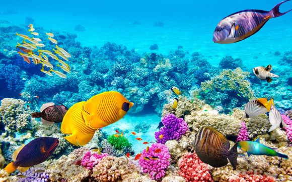 Autotour - Empfohlene Reiseroute